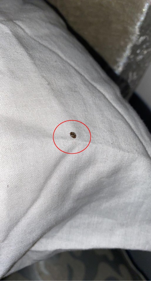 The 23-year-old says she found 'live bugs' in the seam of a white top she bought