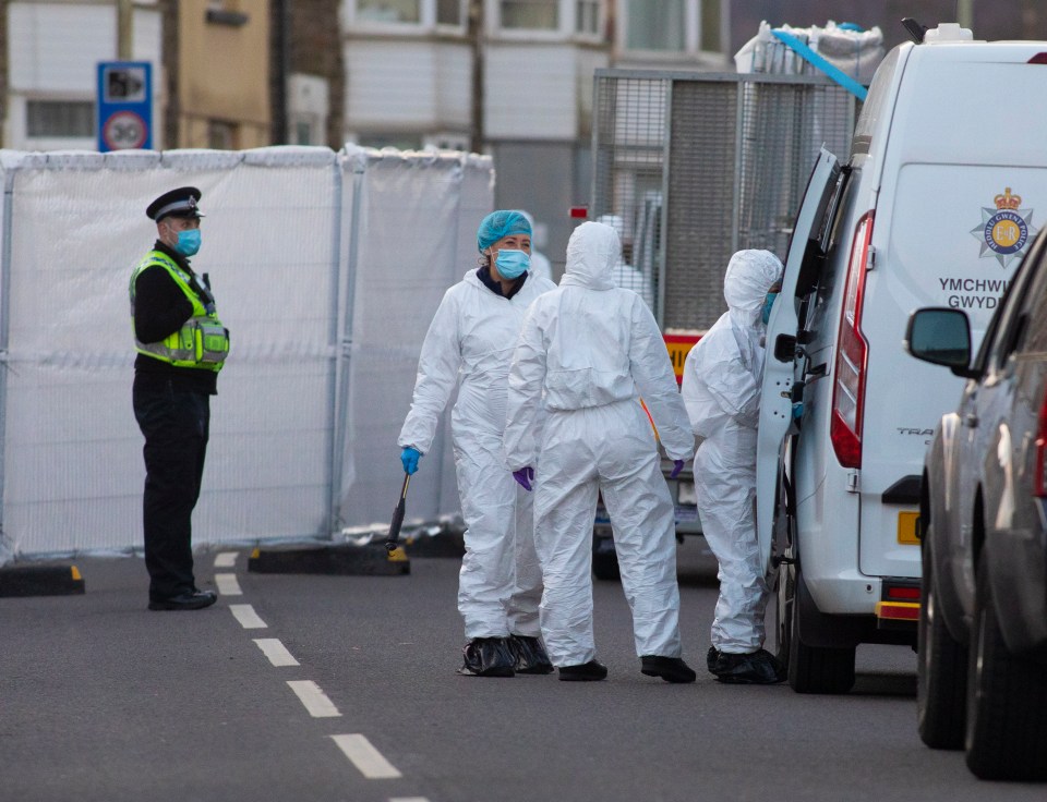 Forensics officers at the scene of the bloodbath in Ynyswen, South Wales