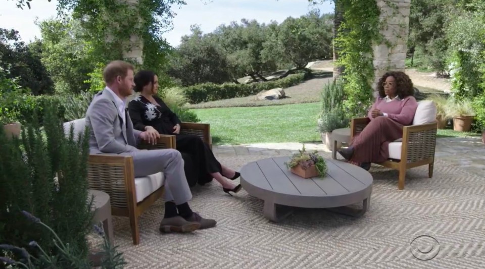 Harry and Meghan spoke to Oprah about their experiences as senior royals