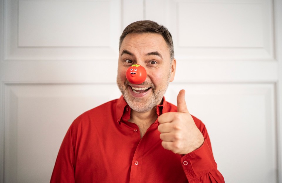 TV star and author David Walliams is Red Nose ready for the annual charity event