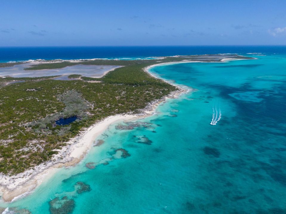 The largest island for sale in the Bahamas is up for auction for $19.5m