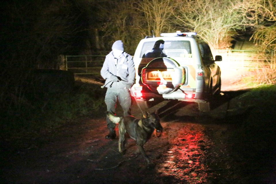 Police dogs were driven down to Kent, as police continued their search