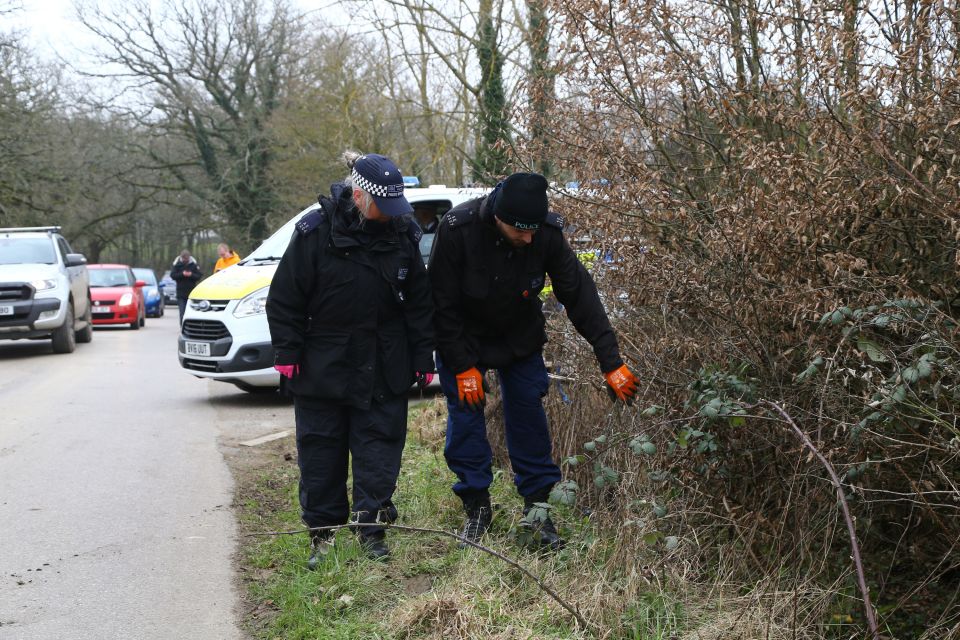 Cops are seen searching through bushes