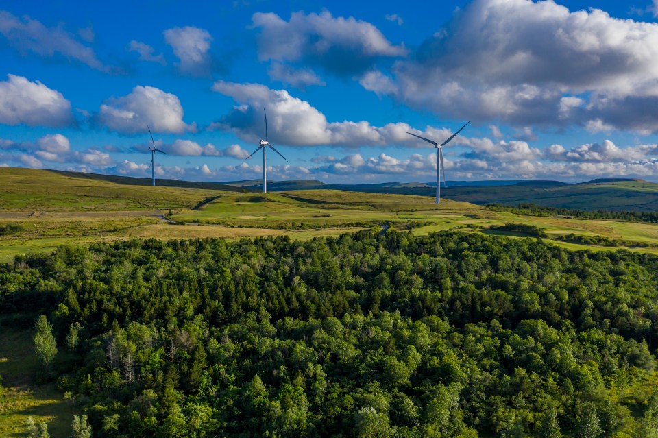 The Government has pledged a £95million investment into two offshore wind farms in Yorkshire