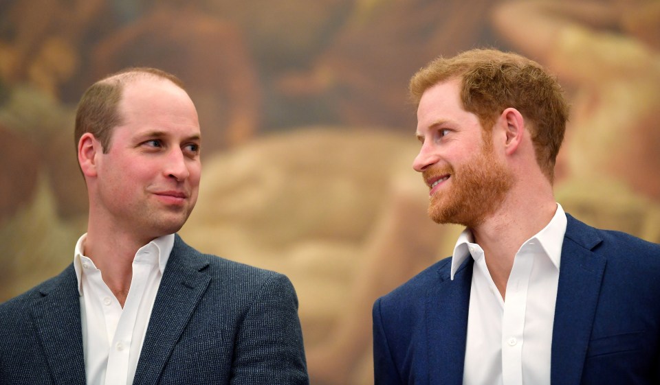 Prince Harry said he would always love his brother 'to bits'