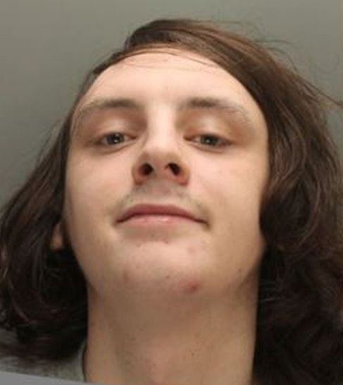 James Foy, 19, and his brother have now been jailed for life for the murder of Michael Rainsford, 20,