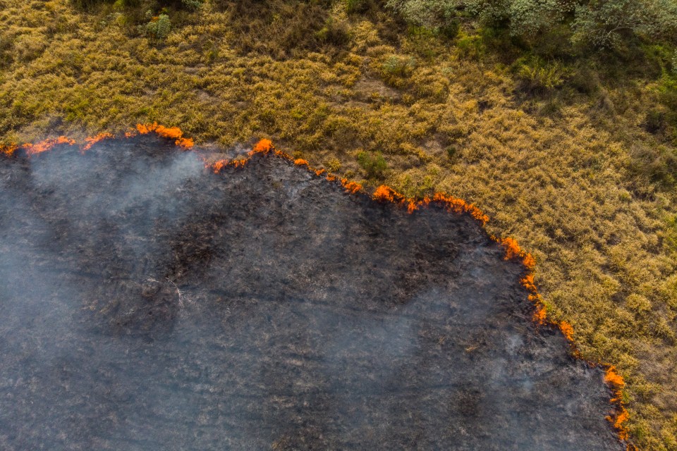 A forest fire in Brazil. Research suggests that the Amazon may now be contributing to climate change due to rampant deforestation