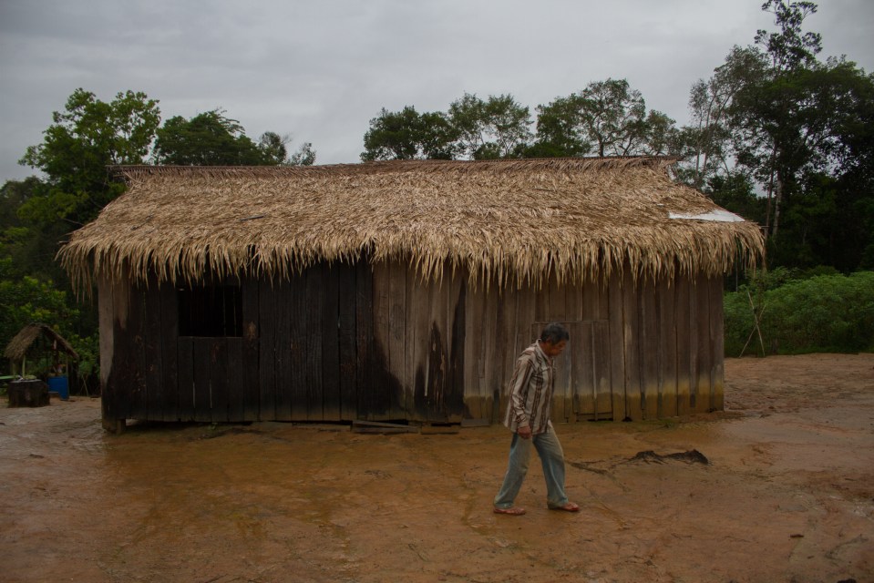 Aruká Juma was the last living male of the Juma tribe