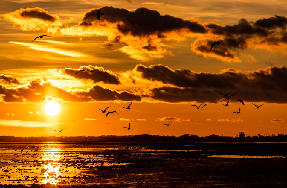 The sunset from Rustington in West Sussex as seagulls fly past