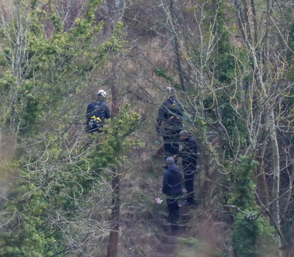 Cops hunt through scrub in Dover