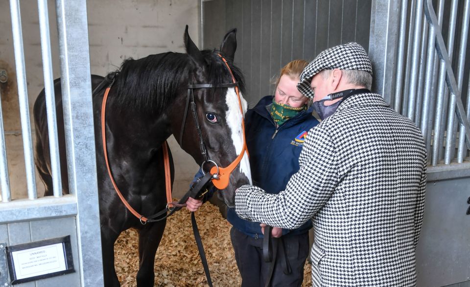 Racing fans can purchase a share in the horse and join Bez