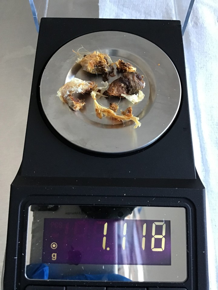 The wax is seen on the scales above - weighing in at over a gram