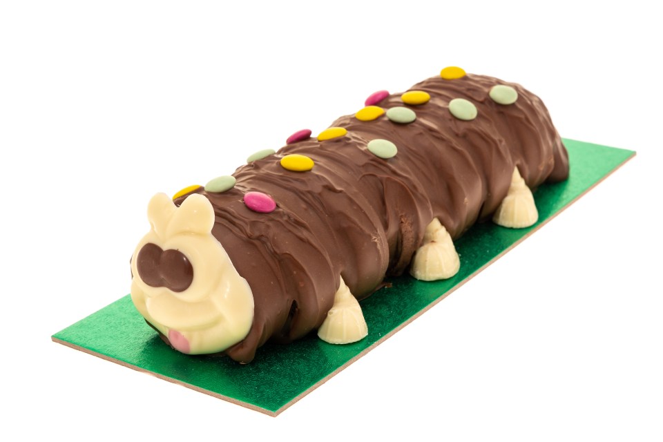 Instead of a replica of the happy-looking caterpillar, pictured, the cake ended up looking like it had been “run over”