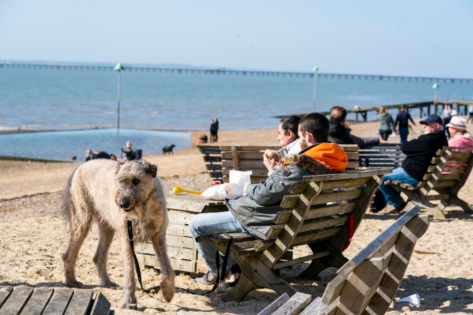 A group of pals enjoy the sunshine this afternoon on the beach in Southend, Essex