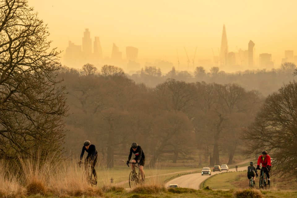 Cyclists make their way through Richmond Park during sunrise this morning