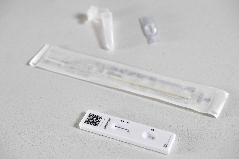 A Covid lateral flow tests is pictured above - with the swab and pad device