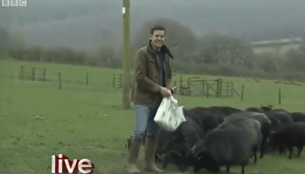 Matt Baker returned to The One Show tonight