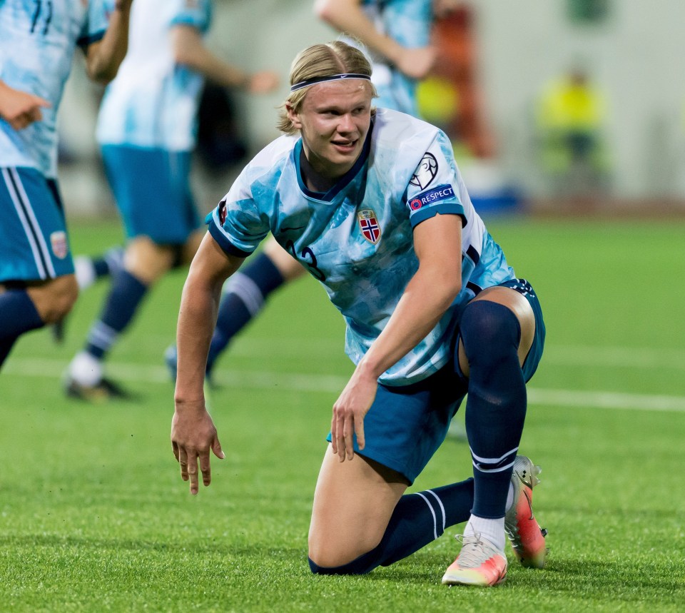 Erling Haaland is one of the hottest properties in world football