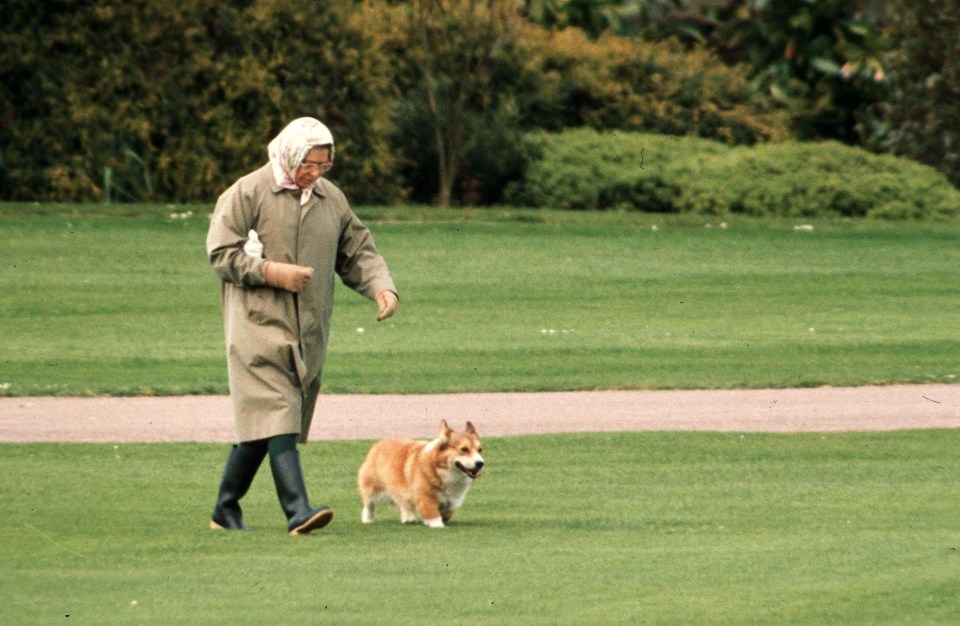 Her Majesty has had more than 30 dogs over the years