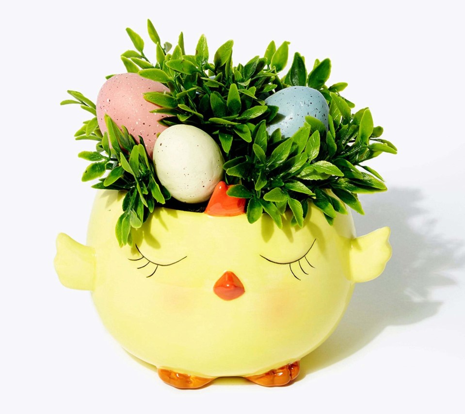 This chick planter will liven up your living room - it's £10 from Matalan