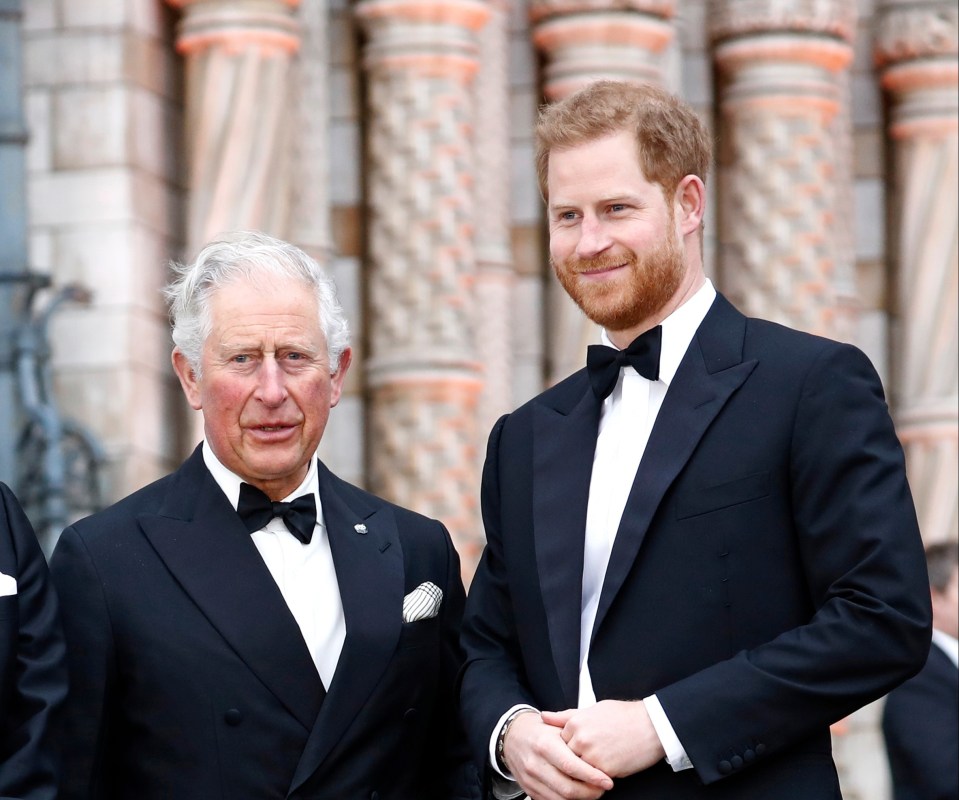 Prince Charles gave Prince Harry “many hundreds of thousands of pounds” last year, according to reports