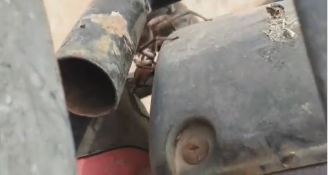 He spotted the spider lurking in the quadbike's engine