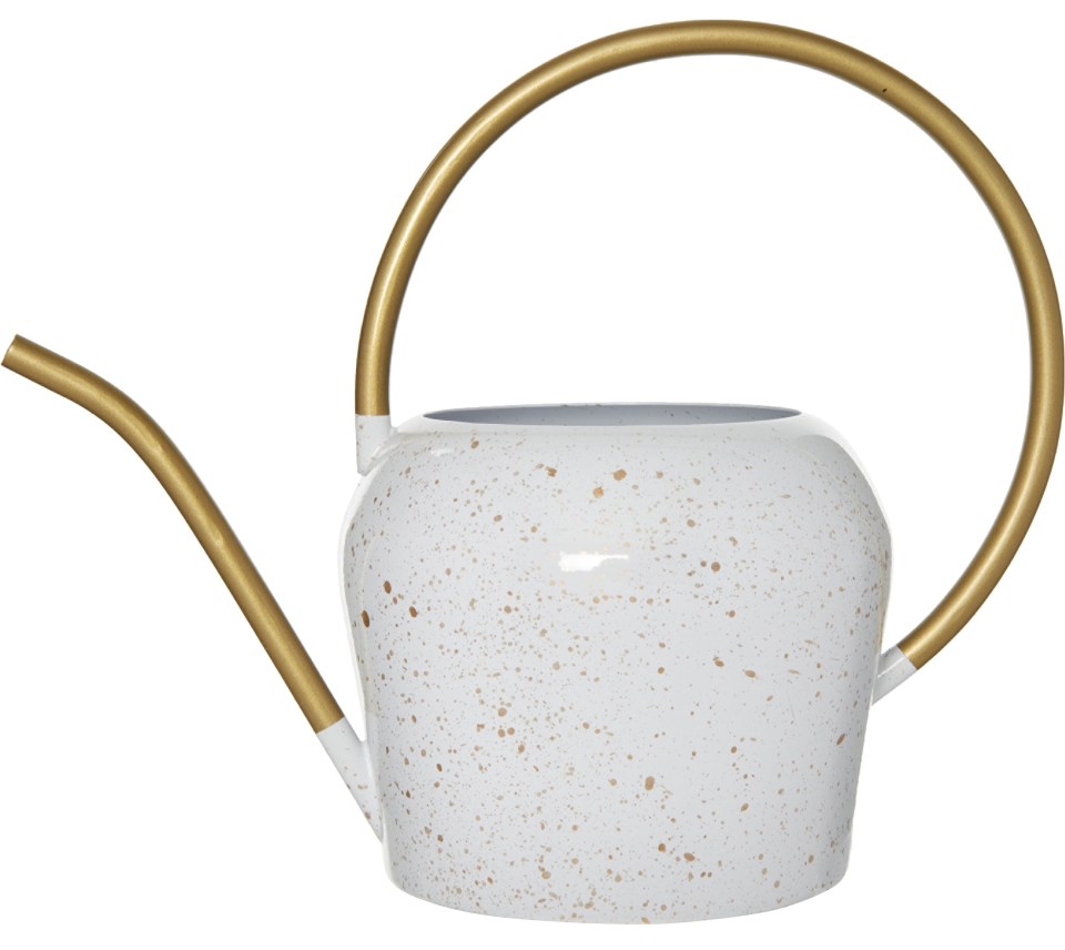 Make watering your indoor plants a statement with this stylish watering can