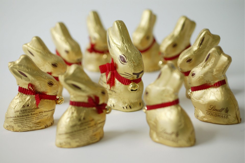 These chocolate Easter bunnies are great for hunting... and nibbling