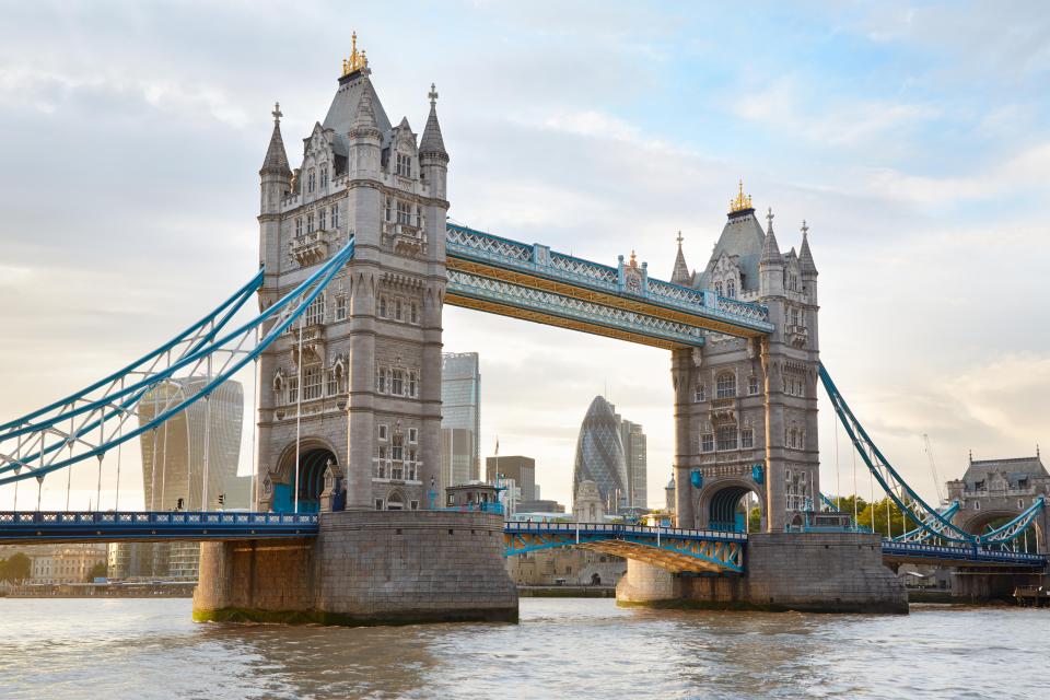 The pupil is believed to have fallen into the River Thames from Tower Bridge in London