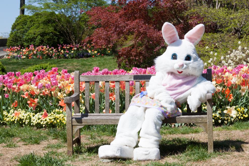 The Easter bunny has a rather long history, entertwined in religious history