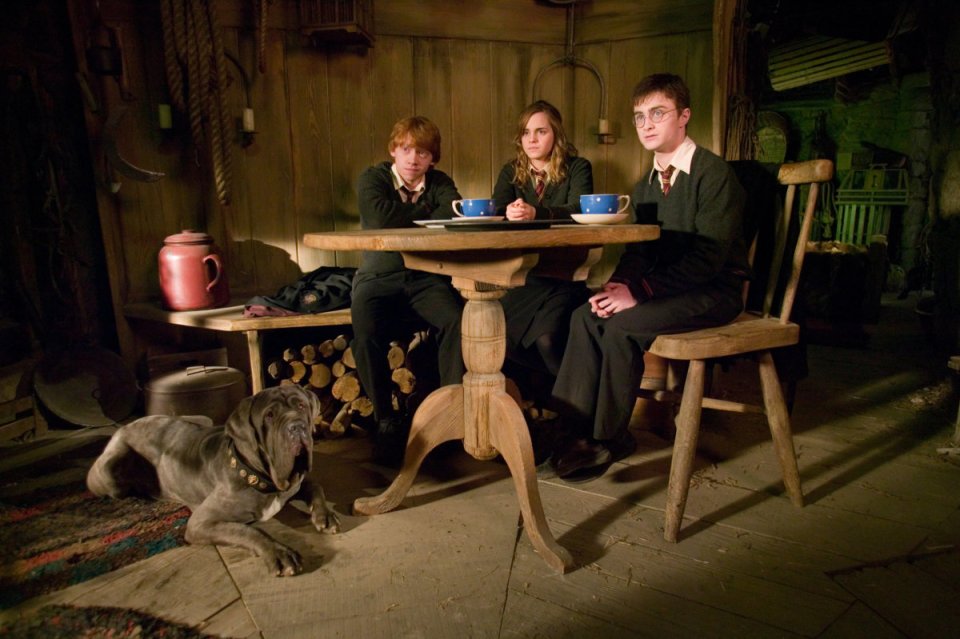 Monkey starred as gamekeeper Hagrid's dog Fangs from the fourth film onwards