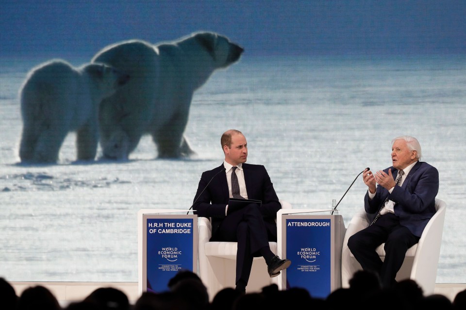 Prince William listens to Sir David Attenborough at the annual meeting of the World Economic Forum in 2019