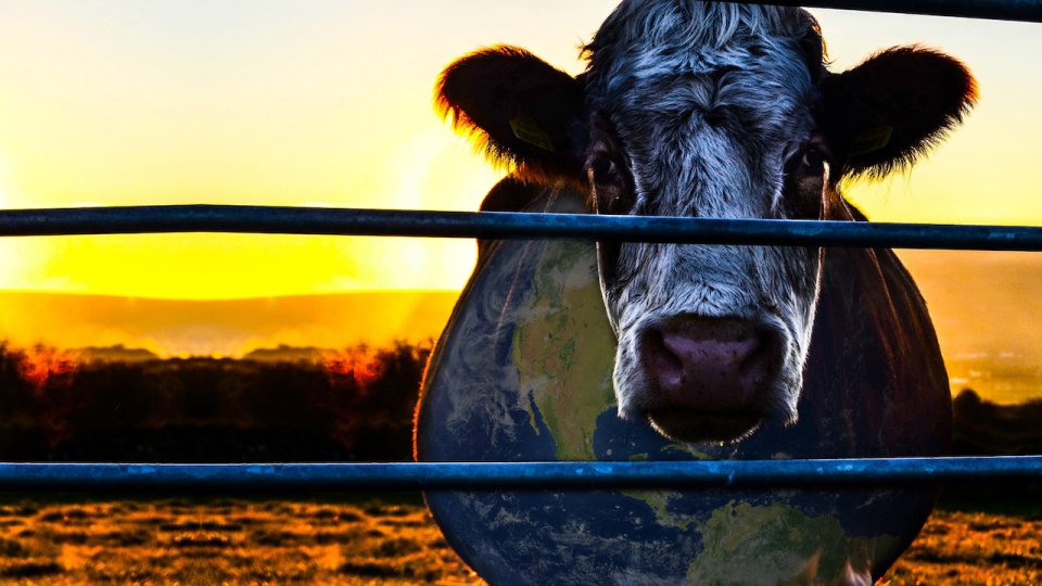 Cowspiracy was released in 2014 and has been criticised by some scientists