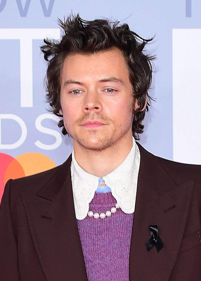 Harry Styles is to play a gay cop in the film adaptation of a novel