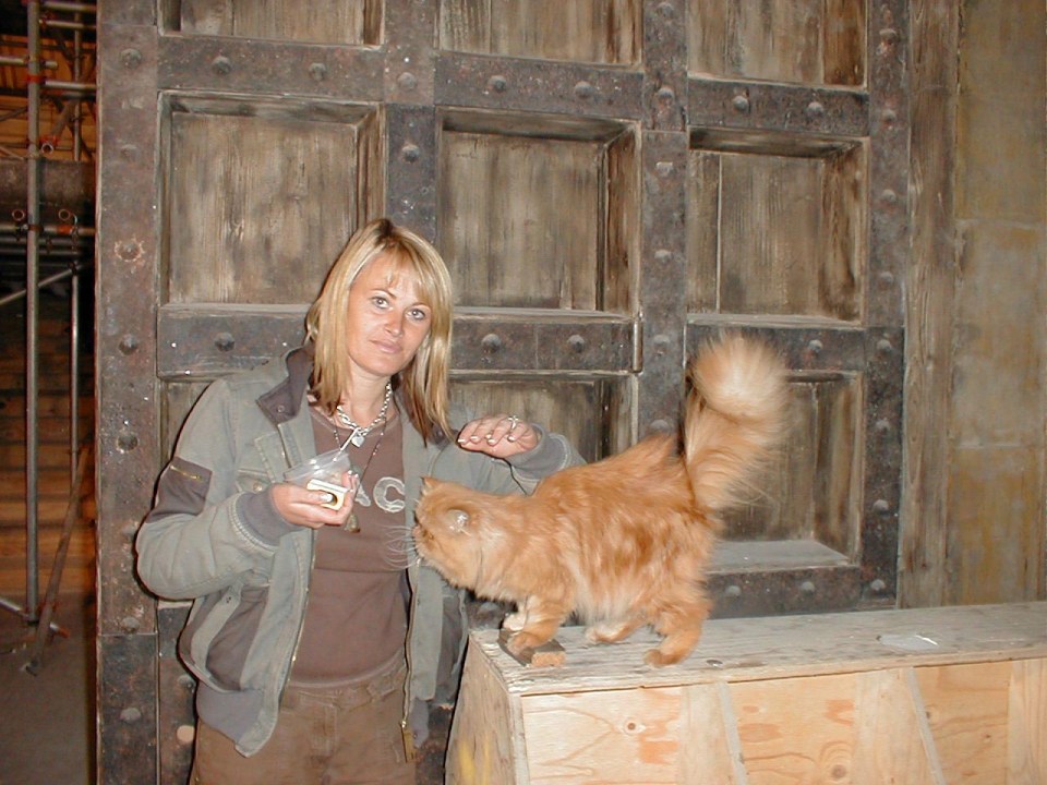 Julie was responsible for a number of animals on the film including Crookshanks