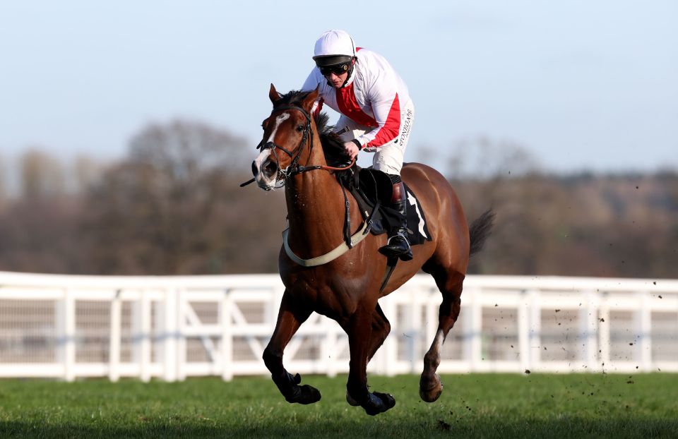 Goshen bounced back in style to win the Kingwell Hurdle before Cheltenham