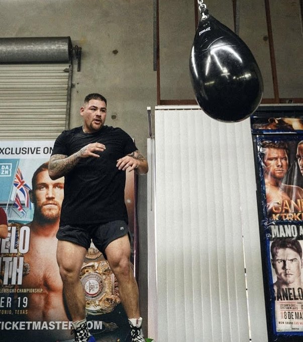 Andy Ruiz Jr training for his comeback