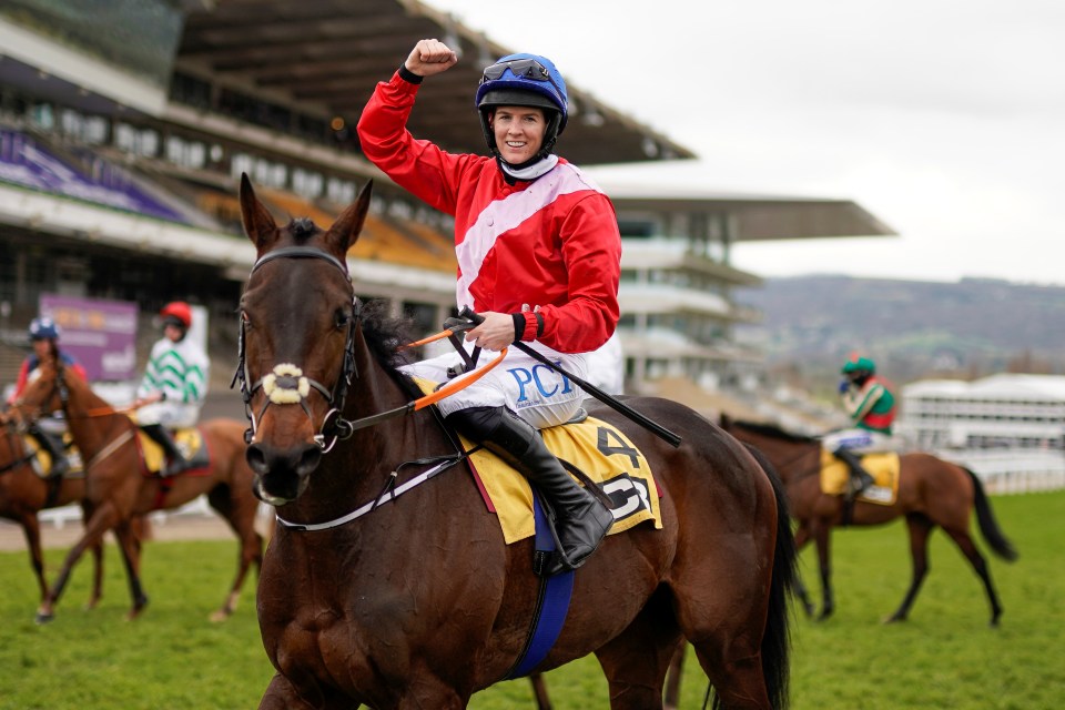 Quilixios starred in the Triumph Hurdle at the Cheltenham Festival