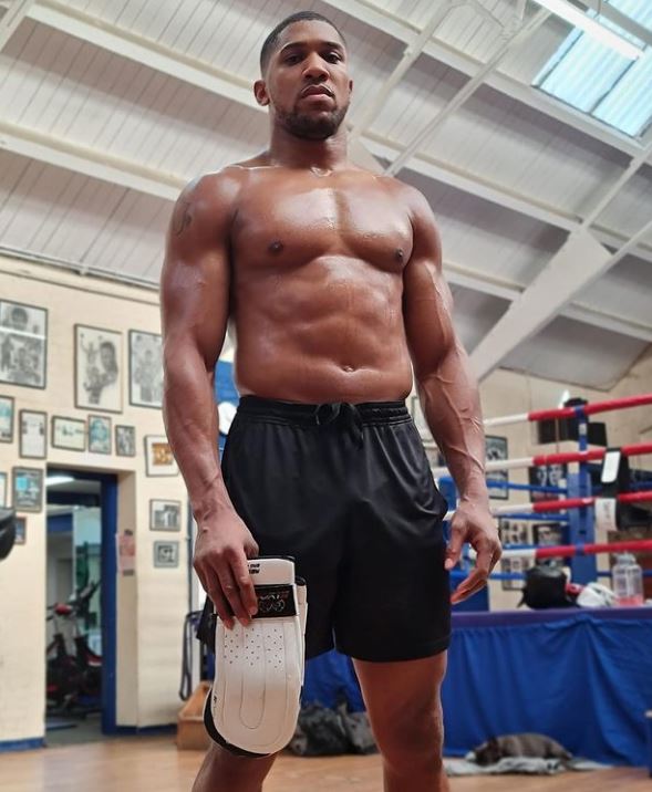 Anthony Joshua and the Gypsy King will unify the heavyweight division