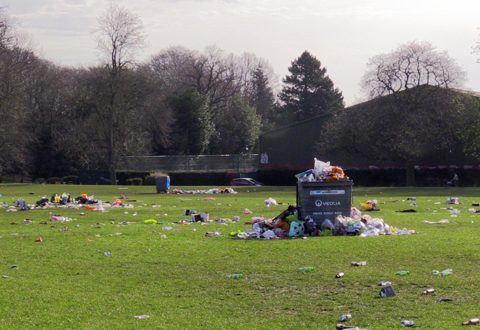 A teenage woman was attacked in a car parked near Endcliffe Park, where hundreds of people had gathered to soak up the sun