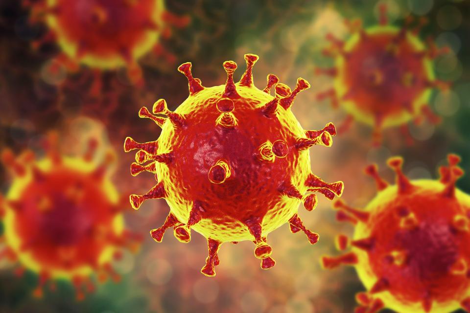 A new variant of the coronavirus (pictured) is causing concern in the UK