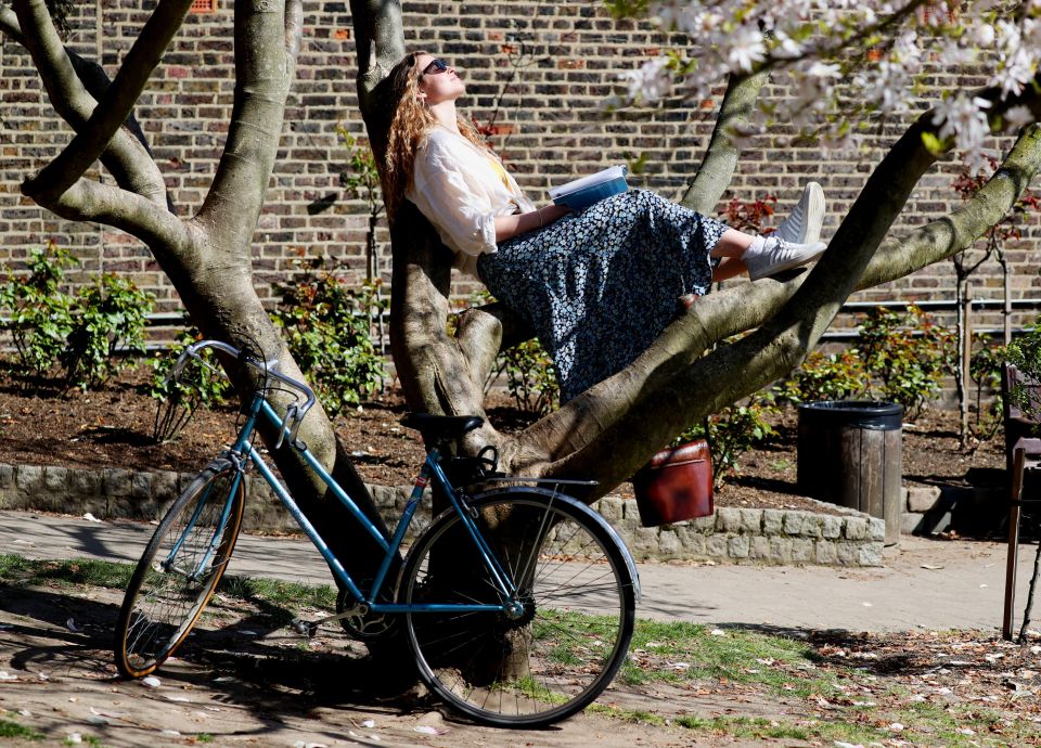 Amalia Maiden relaxes in the boughs of a tree in Holland Park, London