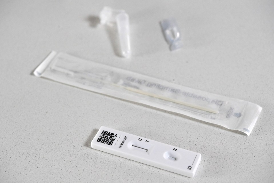 A Covid lateral flow tests is pictured above – with the swab and pad device