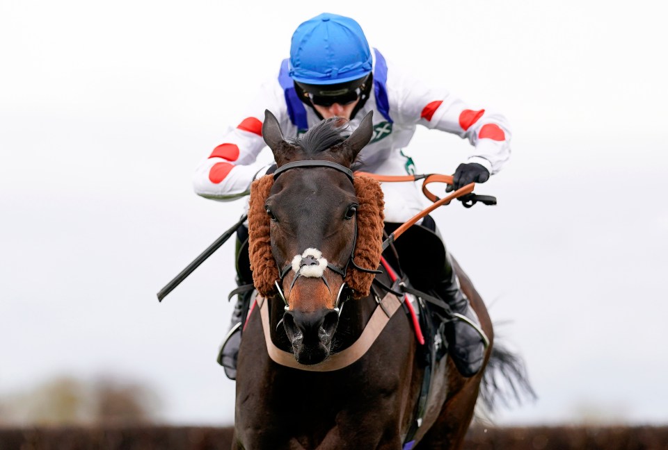 Clan Des Obeaux can land the big one for Fergie at Punchestown