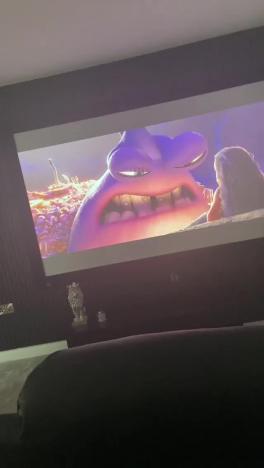 There is a pull-down cinema screen