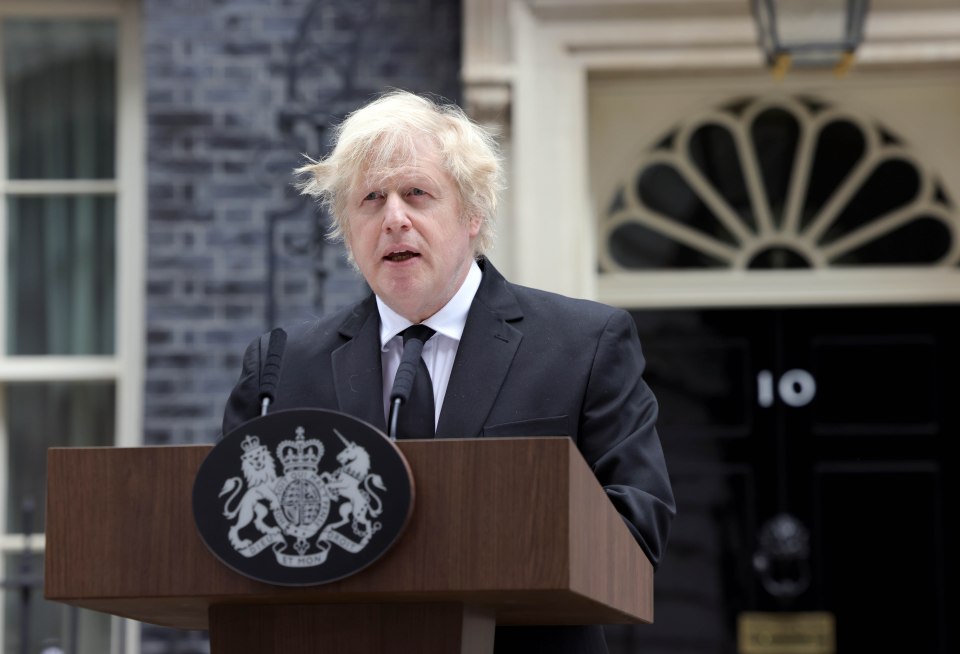 Boris’s unruly mop came under attack when he addressed the nation on Friday