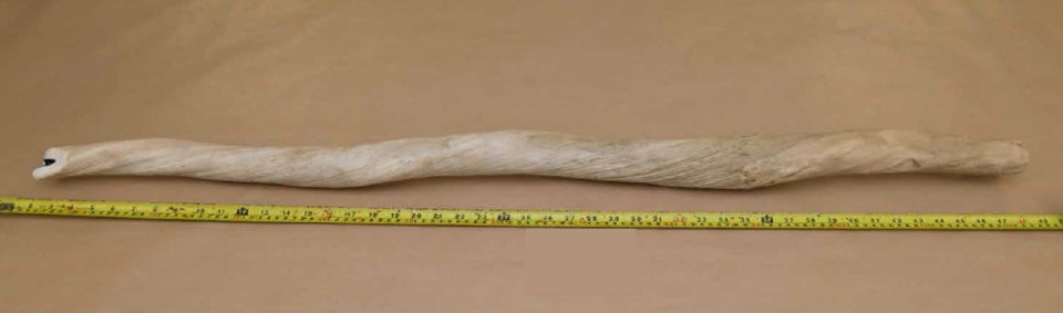 This narwhal tusk was used by attendees to confront rampaging Khan