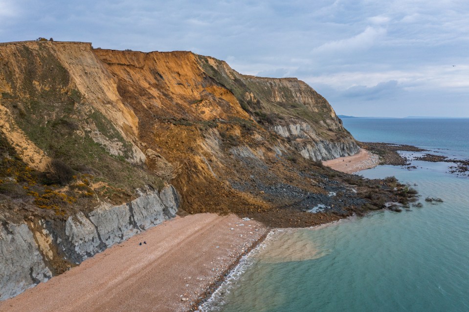 The 'gigantic' landslip affecting almost 1,000ft of cliffside took place overnight, with whole trees seen floating out to sea