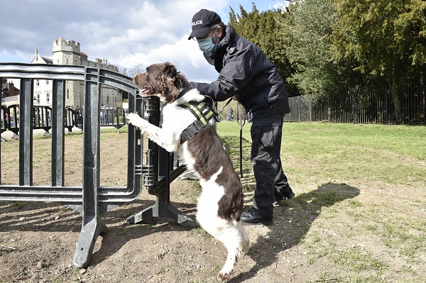 A number of security measures are being put in place