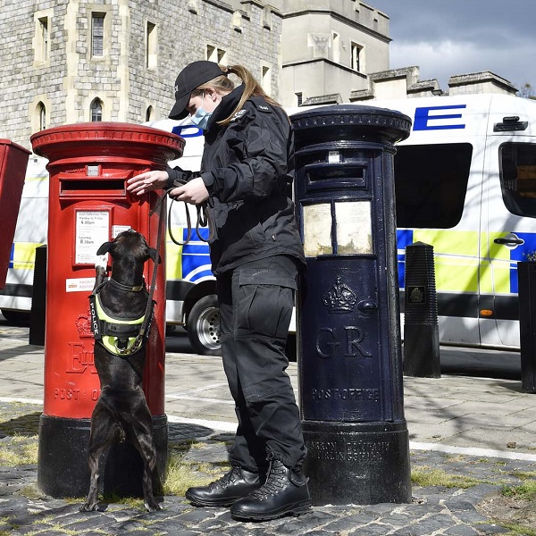 Sniffer dogs are searching the town ahead of the event